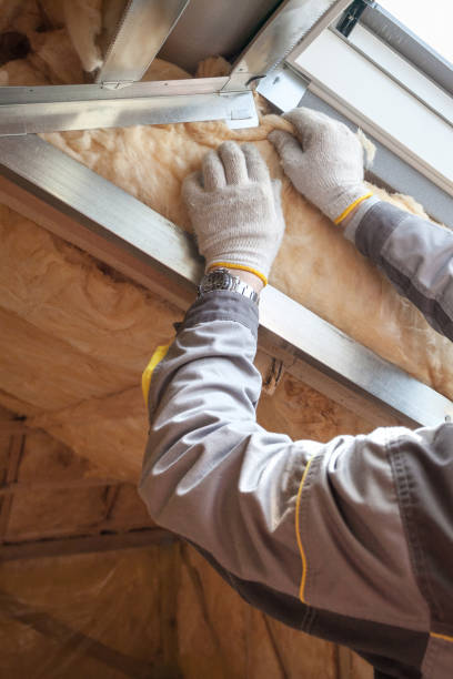 Best Commercial Insulation Contractor  in West Columbia, SC