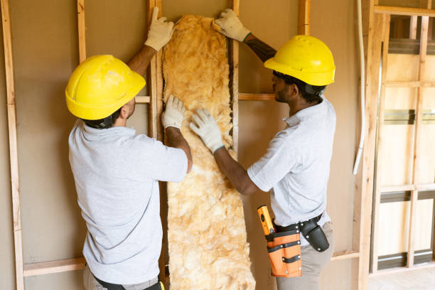Best Cellulose Insulation  in West Columbia, SC