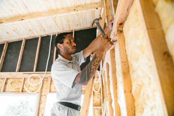 Best Best Insulation Companies  in West Columbia, SC