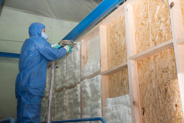 Best Residential Insulation Services  in West Columbia, SC
