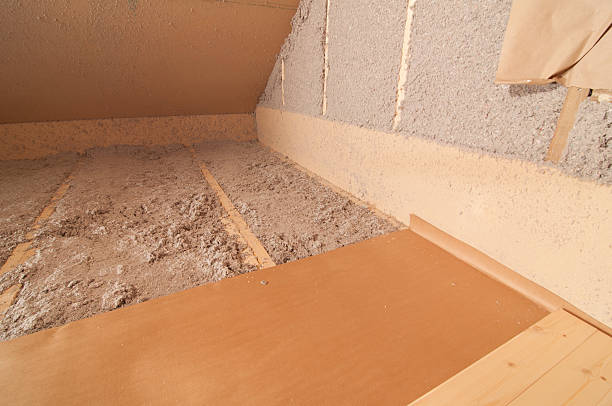 Best Insulation Removal Services  in West Columbia, SC
